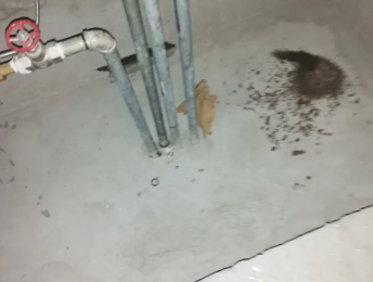 馆陶卫生间测漏水价格明细